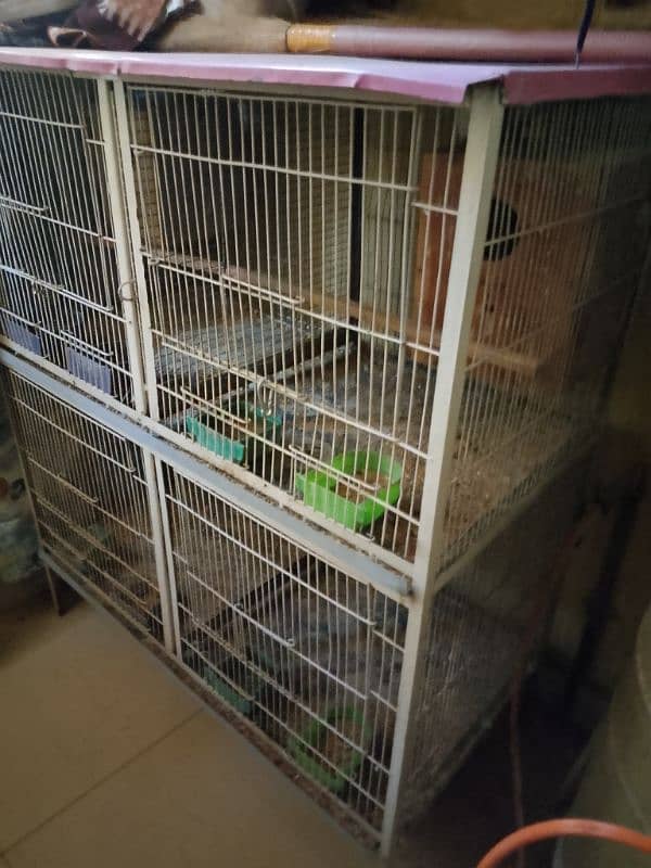 4 Portion Cage with Parrots for Sale. Urgent!!! 9