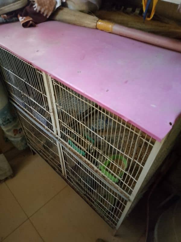 4 Portion Cage with Parrots for Sale. Urgent!!! 10