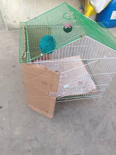 Cage for sale