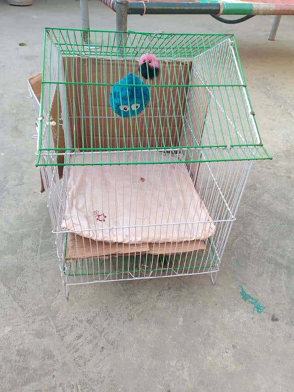 Cage for sale 1