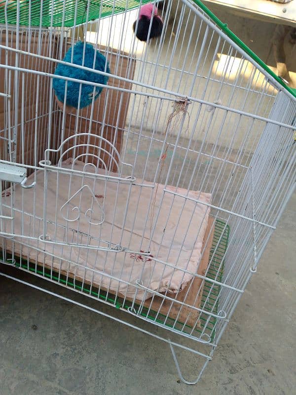 Cage for sale 2