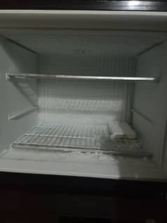 Pel fridge for sale