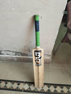 cricket bat