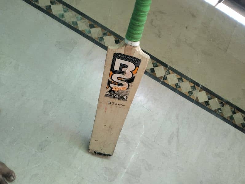 cricket bat 2