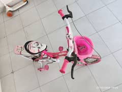 Barbie Theme Cycle for girls