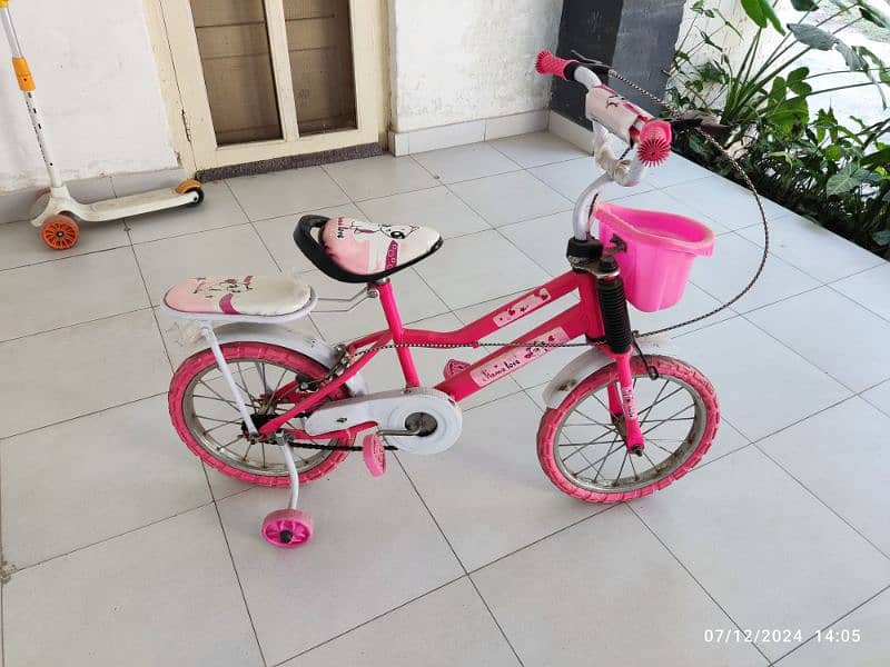 Barbie Theme Cycle for girls 1