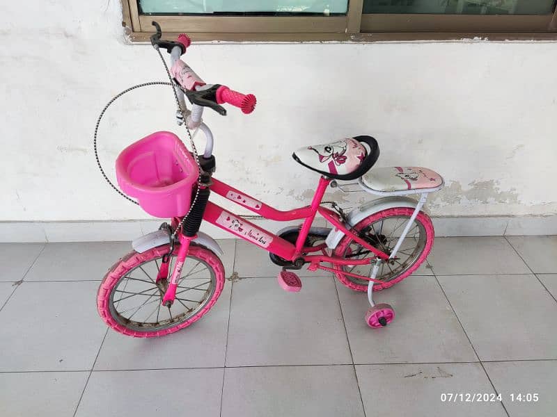 Barbie Theme Cycle for girls 2