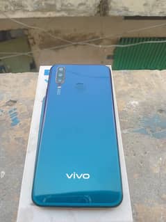 Vivo