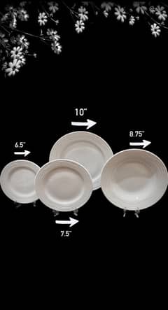 pack of 4 ceramic plates