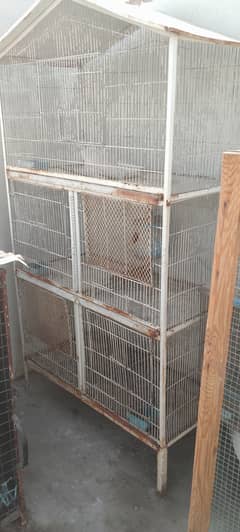 cage for birds