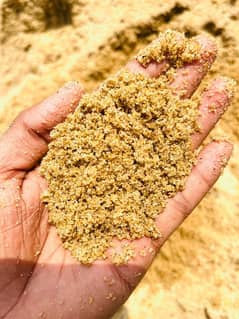 Natural River sand For planted aquarium. sand and plants for aquarium