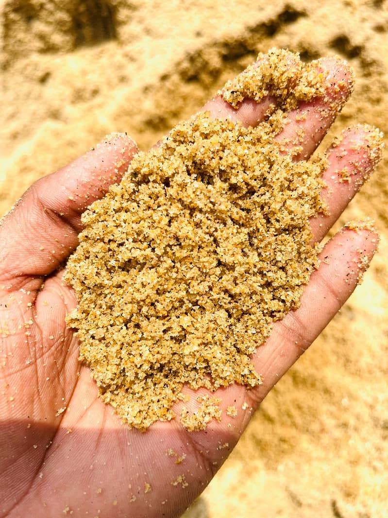 Natural River sand For planted aquarium. sand and plants for aquarium 0