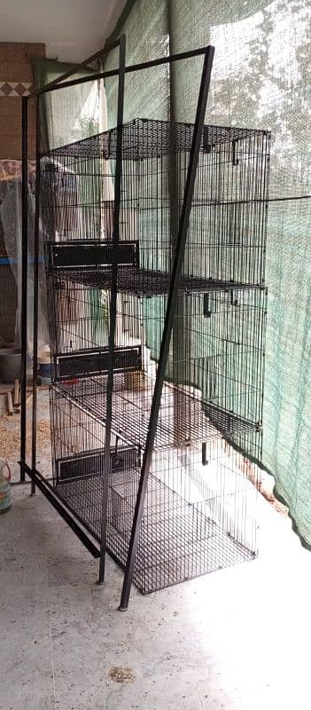 Grey parrot and macaow cage 0