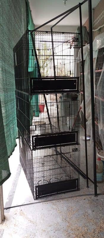 Grey parrot and macaow cage 1