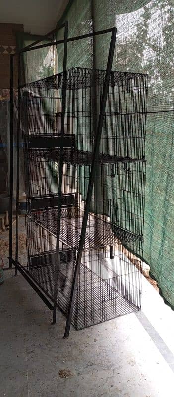 Grey parrot and macaow cage 2