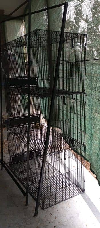 Grey parrot and macaow cage 3