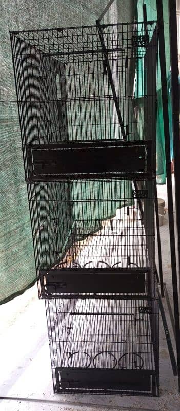 Grey parrot and macaow cage 4