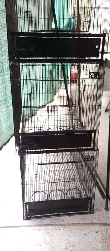 Grey parrot and macaow cage 10