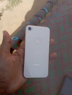 I phone 8 Non Pta 64 Gb  0348/4585/512