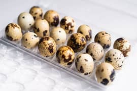 Fresh Quail Eggs