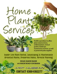 Greener Living: Expert Home Plant Care & Maintenance Service 