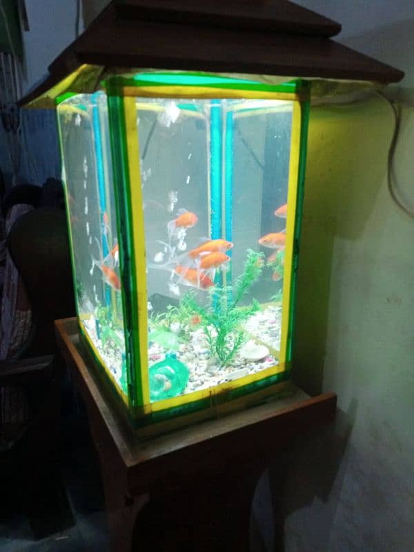 aquarium stand with aquarium 4 gold fishes 03105617360 1