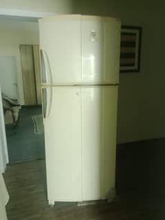 Fridge