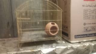 Australia or love birds cage, pinjra for sale