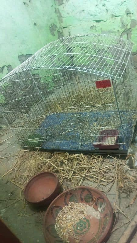 Australia or love birds cage, pinjra for sale 2