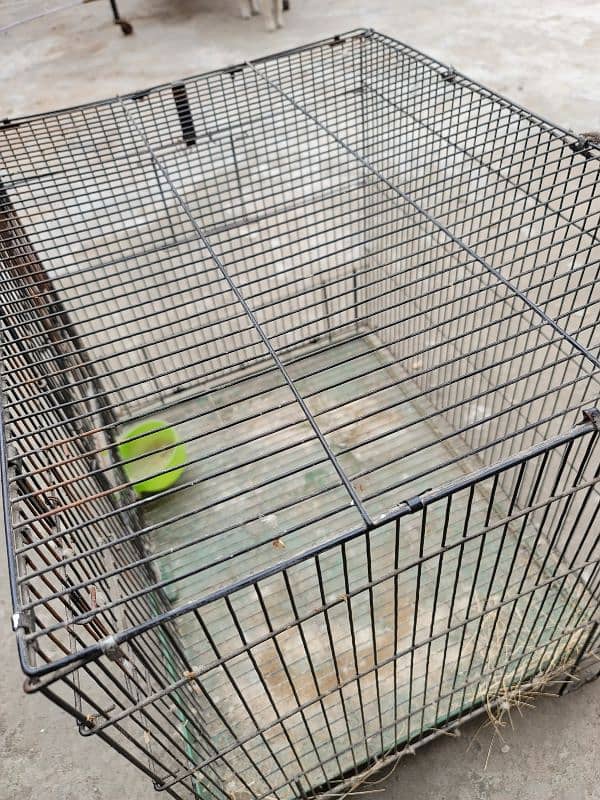 perrot Cage new condition 3