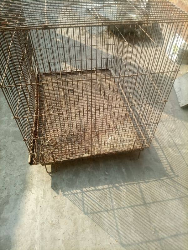 cages for sale 1