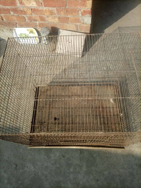 cages for sale 2