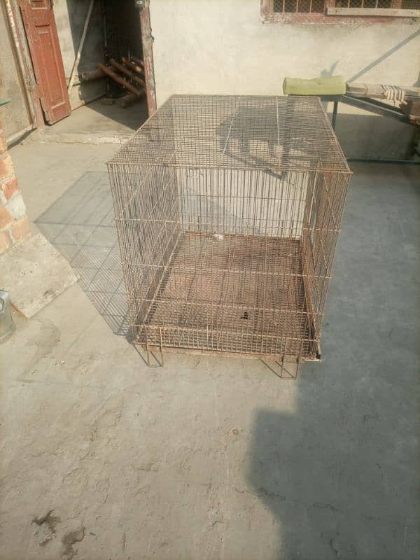 cages for sale 3