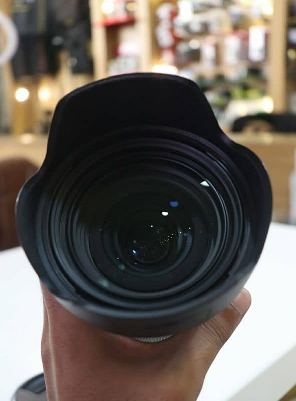 Sony 24-70mm F 2.8 GM II 6