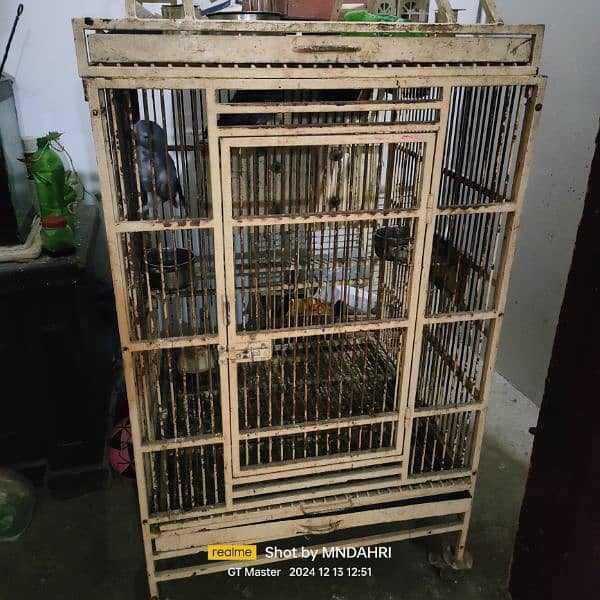 Cage sale 1