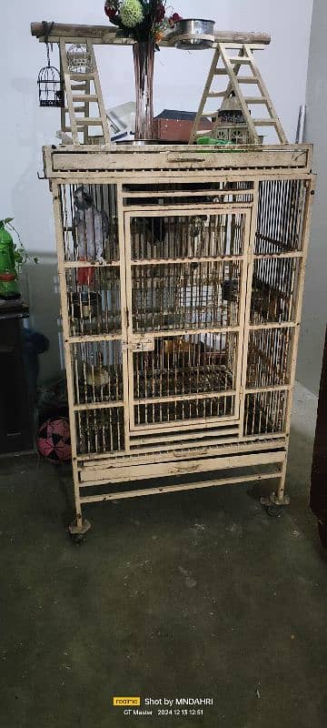 Cage sale 2