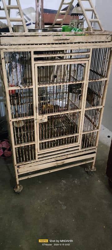 Cage sale 5