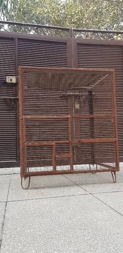 Iron Angle Parrots Cage