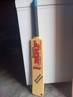 cricket hard ball bat