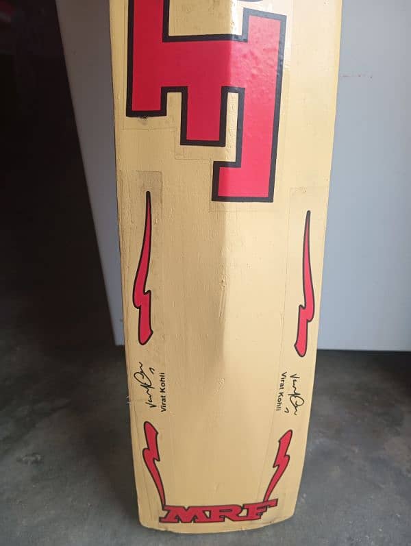 cricket hard ball bat 3