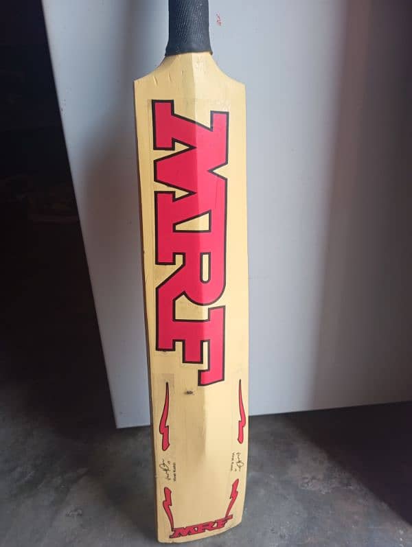 cricket hard ball bat 4