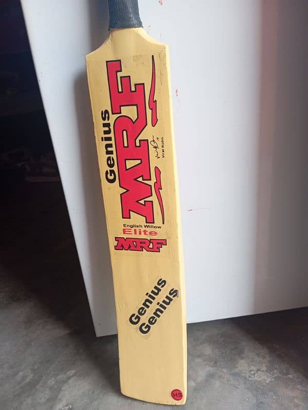 cricket hard ball bat 5