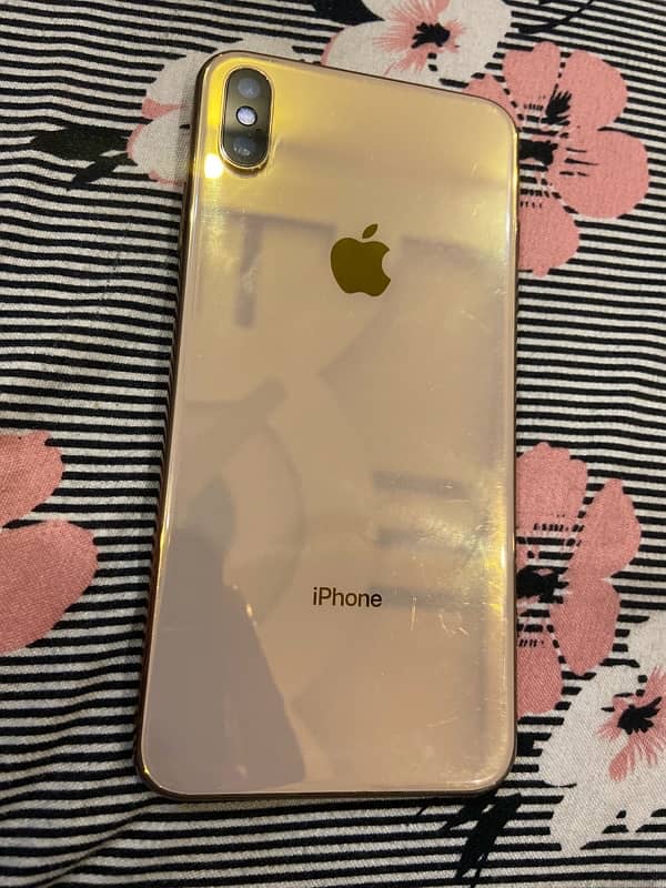 XS MAX 1