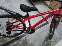 Red bicycle