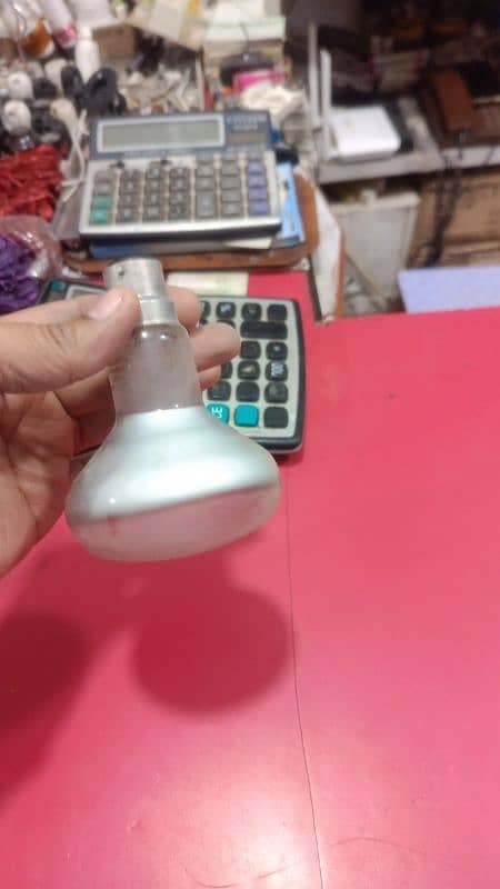 Heat bulb for birds 3