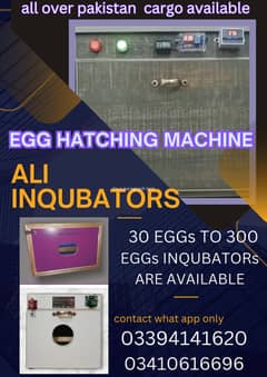 inqubator egg hatching machine