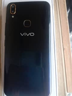 vivo