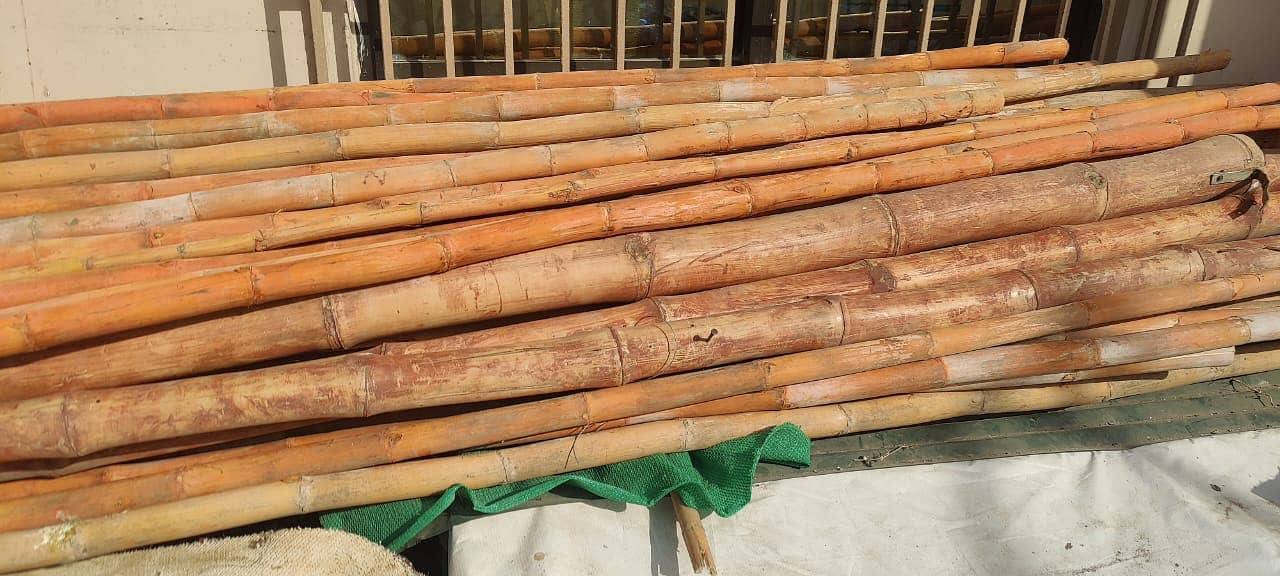 Used Bamboo For Sale 0