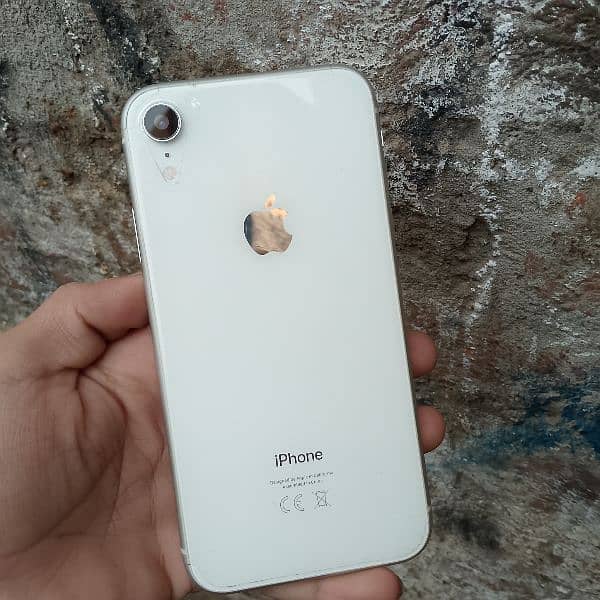 Iphone Xr waterpack non pta 0