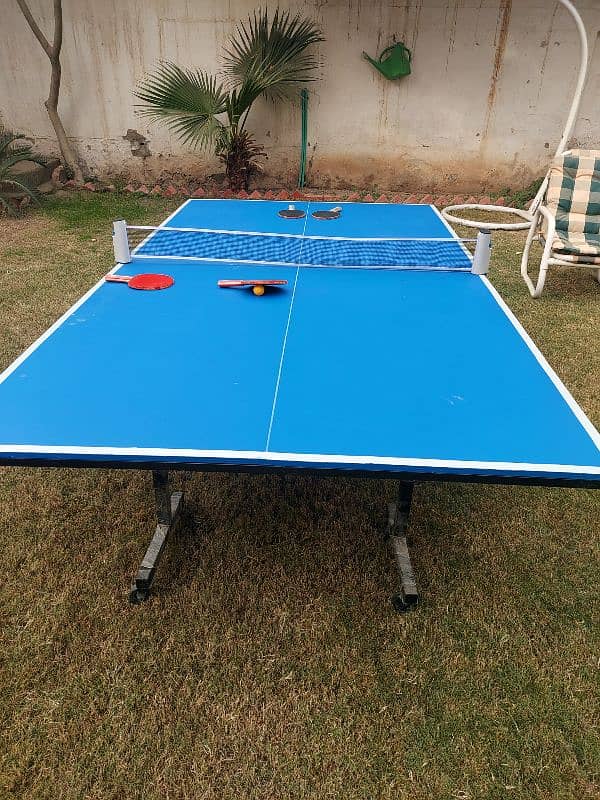 MDF Butterfly Table Tennis Set 0